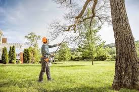 Best Tree Risk Assessment  in Whitewater, KS